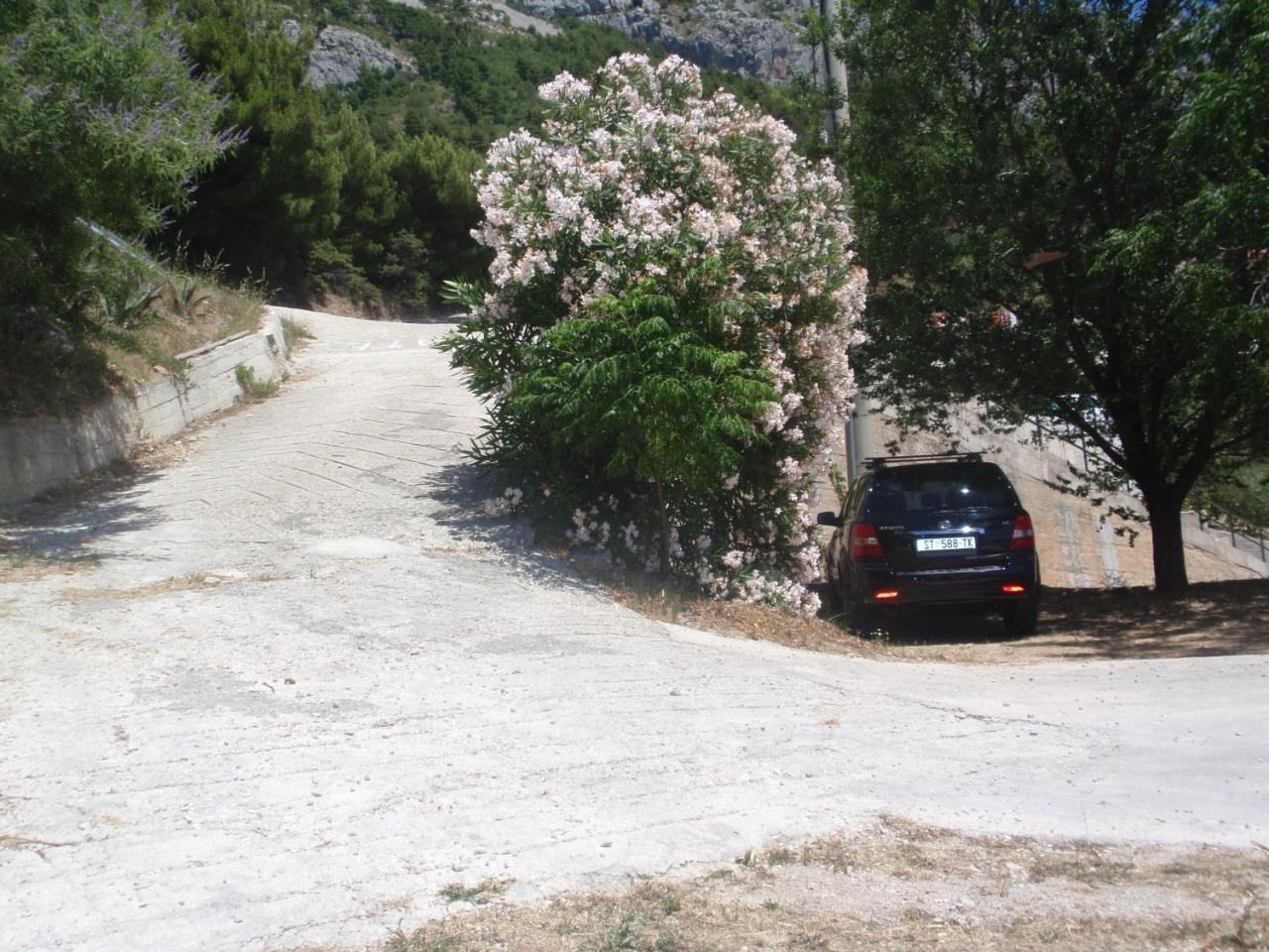 Bruna & Bartula Mimice Dış mekan fotoğraf